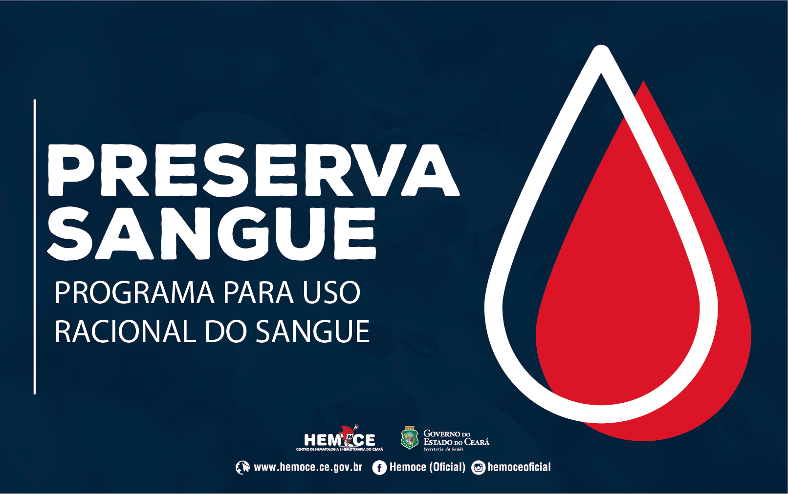 Programa do Hemoce incentiva boas práticas em manuseio de sangue