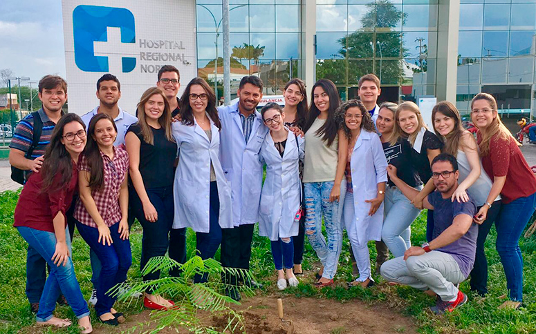 Plantio de mudas promove sustentabilidade e harmoniza ambientes