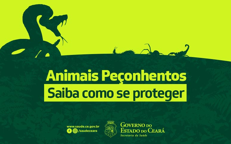 Secretaria da Saúde orienta como prevenir acidentes com animais peçonhentos