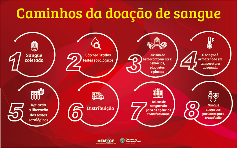 Caminhos do sangue: da doação à transfusão