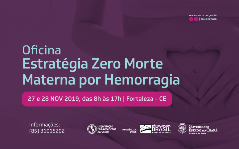 Sesa promove Oficina da Estratégia Zero Morte Materna por Hemorragia