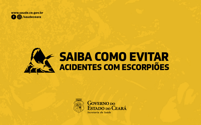 Cuidados básicos no dia a dia previnem acidentes com escorpião