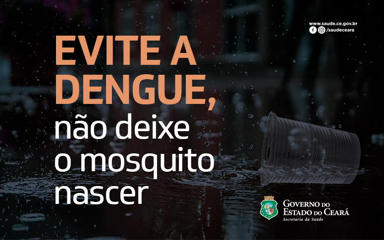 Risco de dengue aumenta com chuvas e população pode ajudar a prevenir