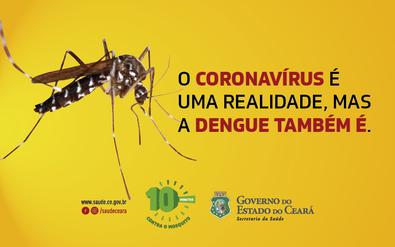Aproveite a quarentena para proteger sua casa do Aedes aegypti
