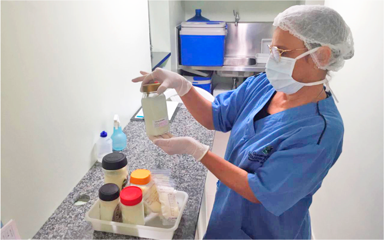 Hospitais da rede estadual já distribuíram mais de mil litros de leite humano em 2020