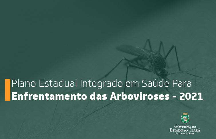 Sesa divulga plano para enfrentamento de arboviroses em 2021