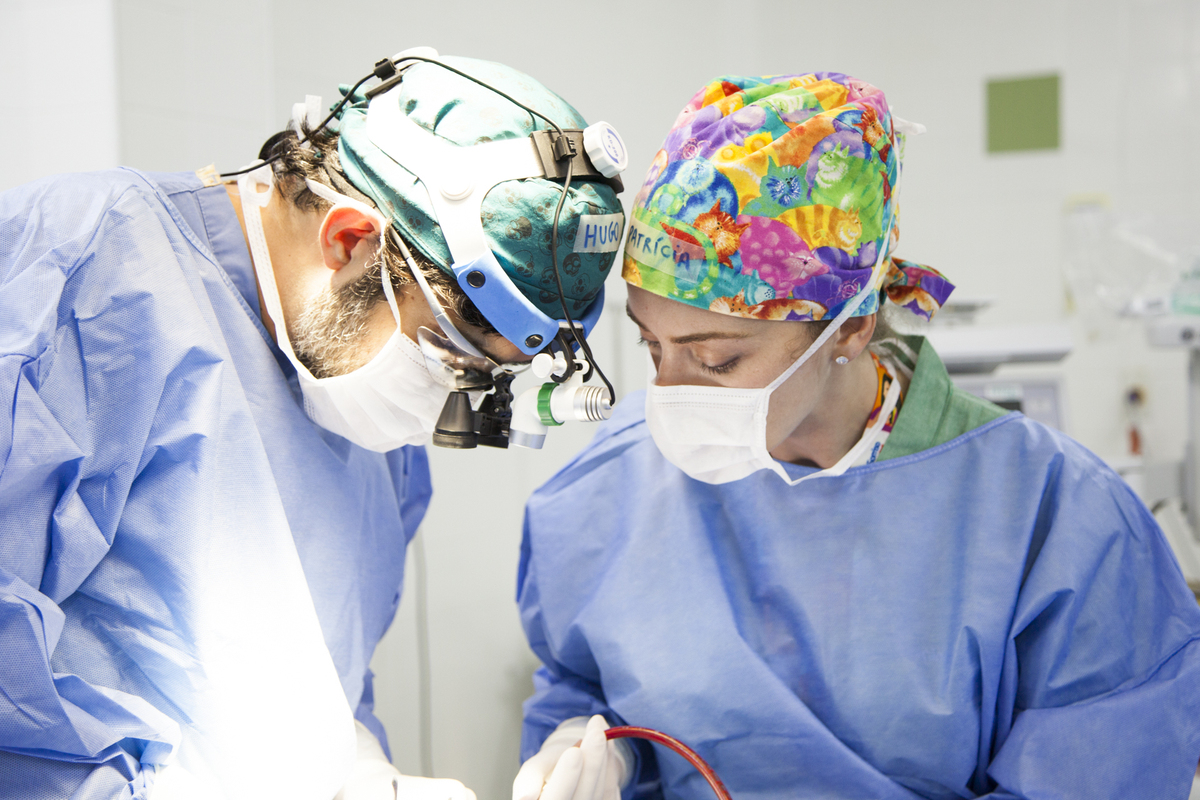 Fissuras labial e palatina: tratamento deve ser iniciado nos primeiros meses de vida