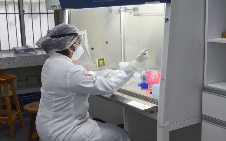 Ceará desenvolve teste rápido para diagnóstico da Covid-19; resultado é disponibilizado em até cinco minutos