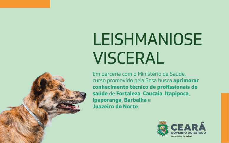 Profissionais de seis municípios cearenses participam de capacitação para identificação de vetores da leishmaniose