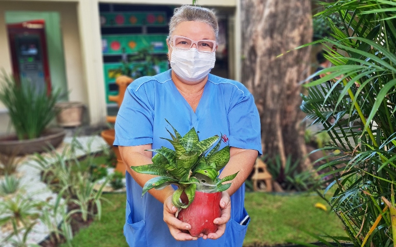 Funcionários do Hospital São José requalificam áreas verdes da instituição