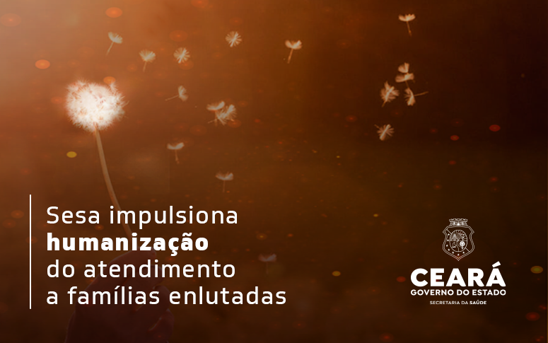 Saúde do Ceará tem programação para conscientizar sobre perda gestacional, neonatal e infantil
