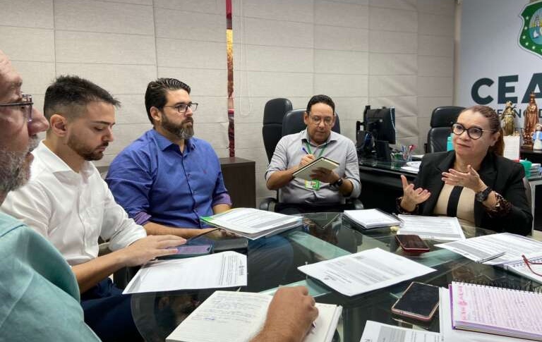 Sesa e Seas definem estratégias de garantias de direito à saúde no sistema socioeducativo