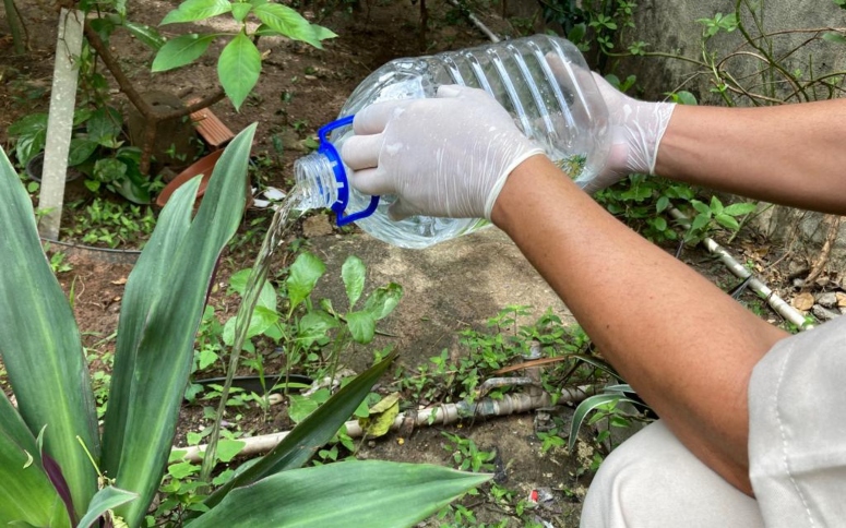 Dengue: a importância de estratégias integradas de prevenção e controle  ‌