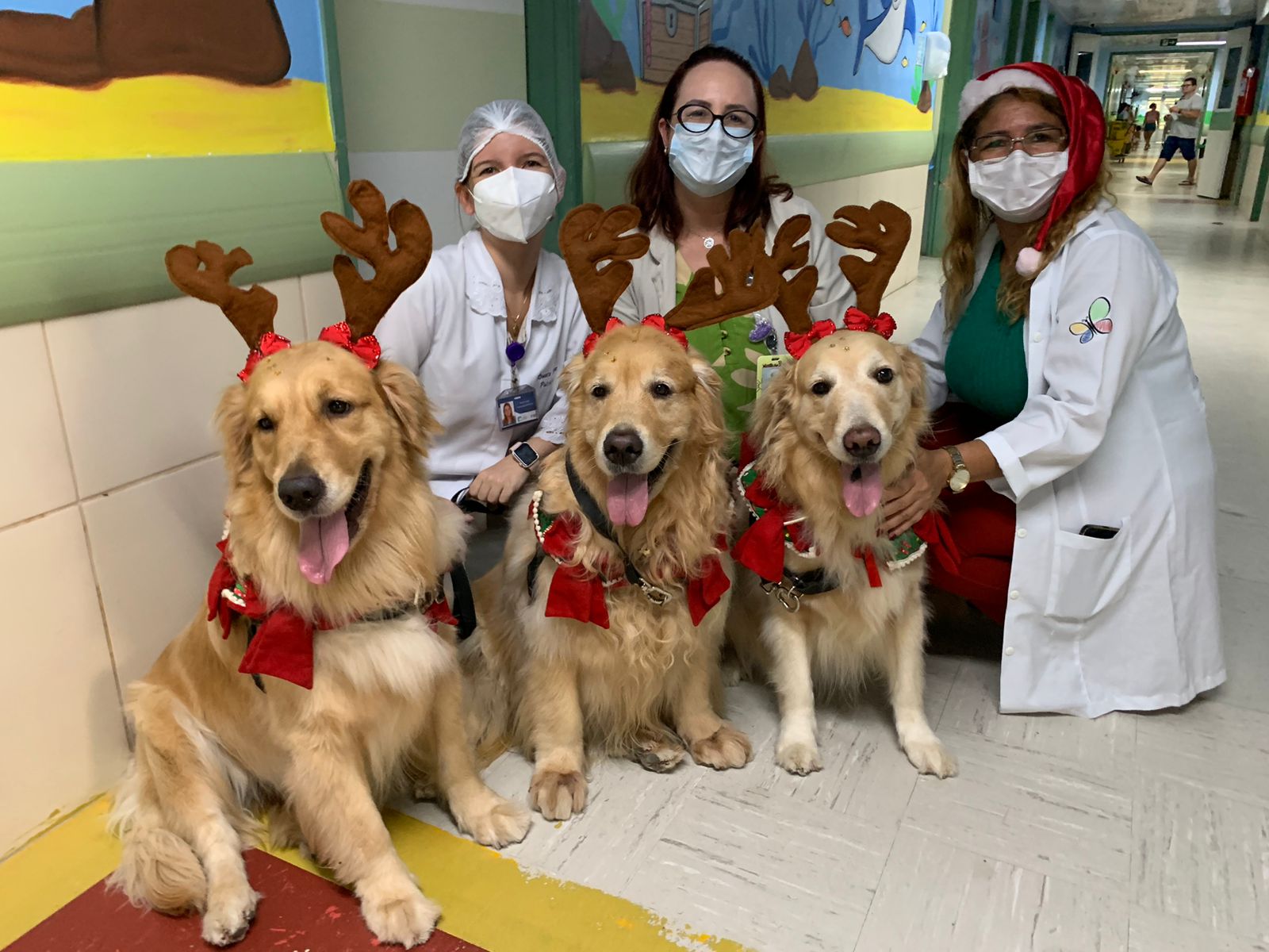 Em clima natalino, crianças internadas na pediatria do HGWA recebem visita de animais