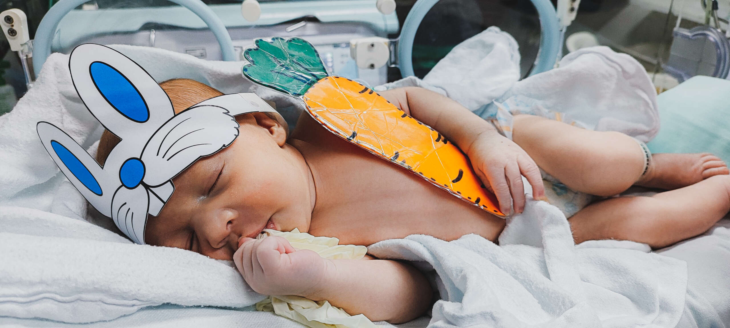 Hospital Infantil Albert Sabin realiza sessão de fotos de Páscoa com bebês da unidade neonatal