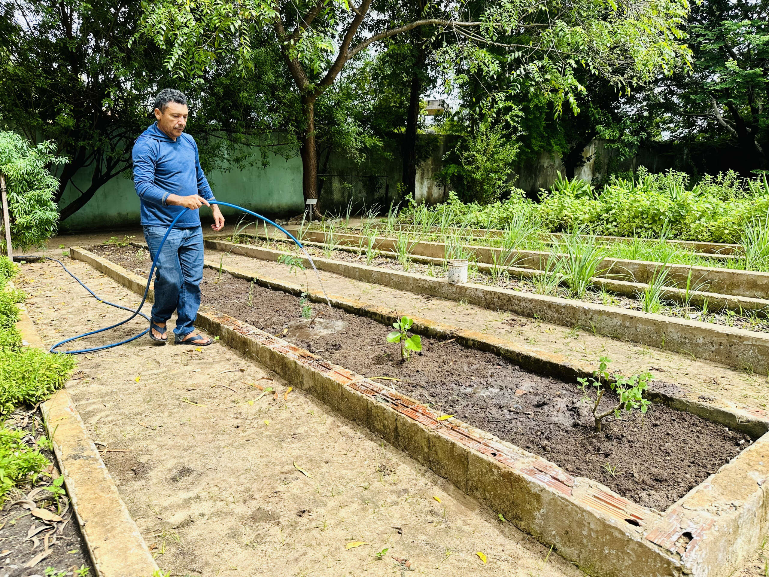Projeto da Sesa selecionado pelo Ministério da Saúde vai promover produção de medicamentos fitoterápicos em parceria com comunidades indígenas cearenses