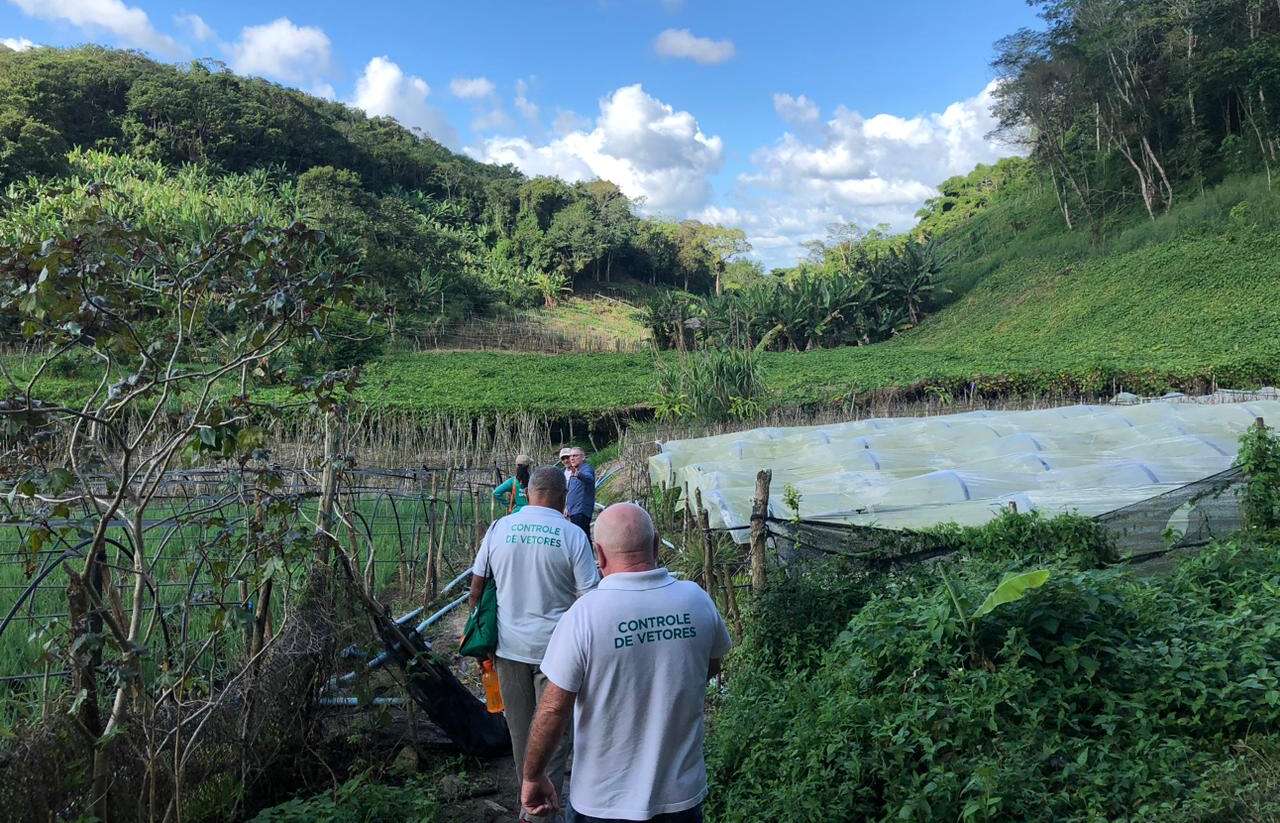Saúde do Ceará intensifica ações de prevenção e de vigilância epidemiológica da febre do Oropouche