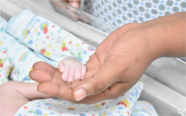 Recomeço: bebê nascida com menos de um quilo volta aos braços da família após cinco meses de cuidado especializado no HGCC