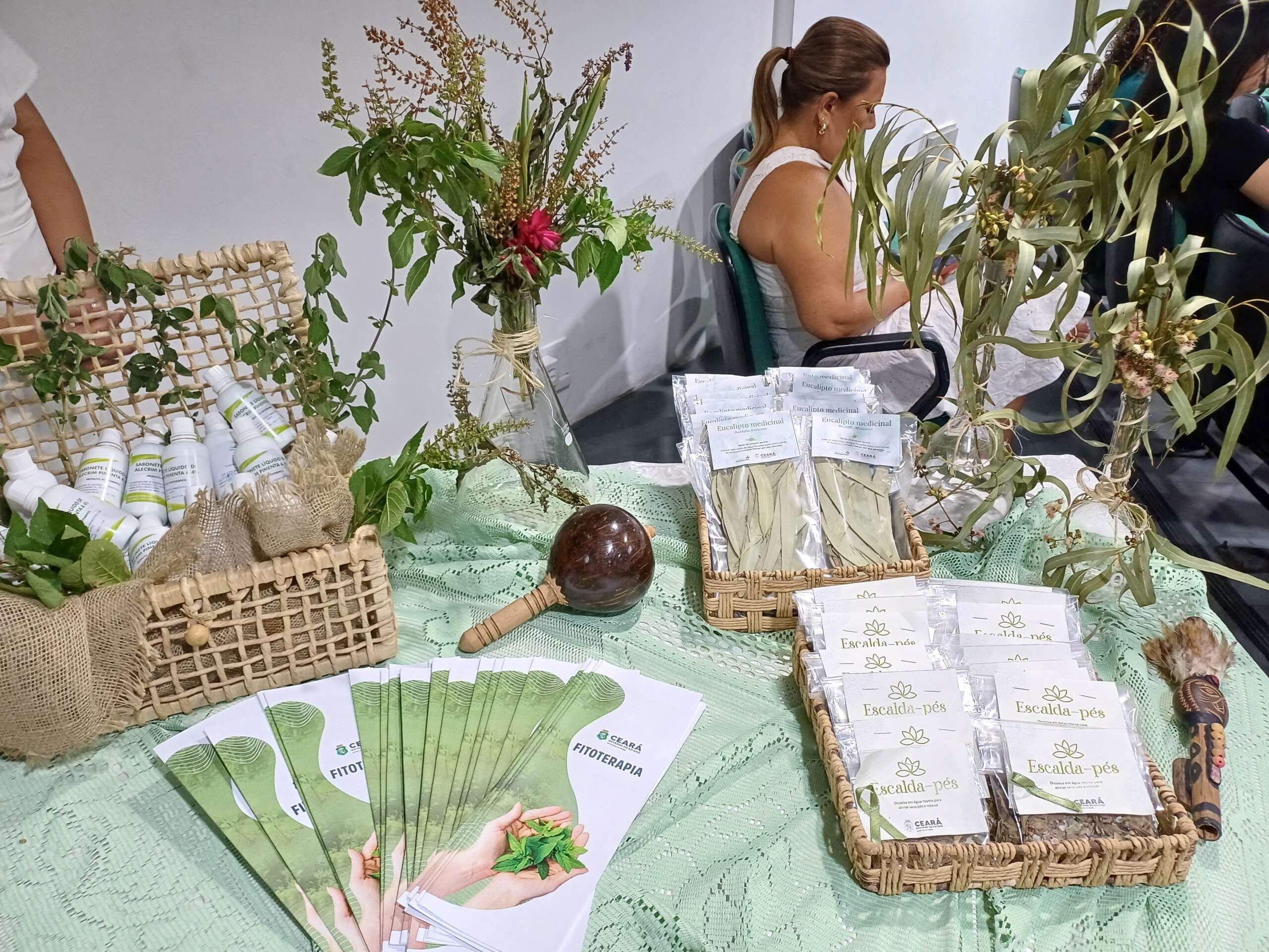 Saúde do Ceará recepciona primeiros indígenas que atuarão na pasta; projeto Farmácias Vivas no SUS articula saber científico e ancestralidade
