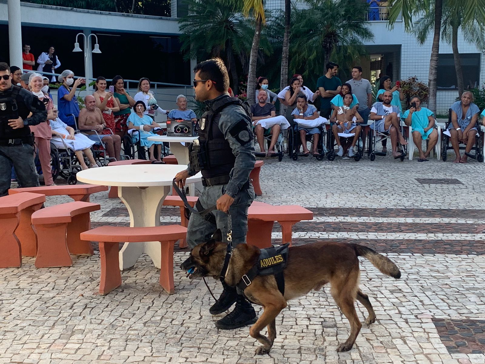 Casa de Cuidados do Ceará recebe ação social com cães policiais do Grupo de Ações Penitenciárias