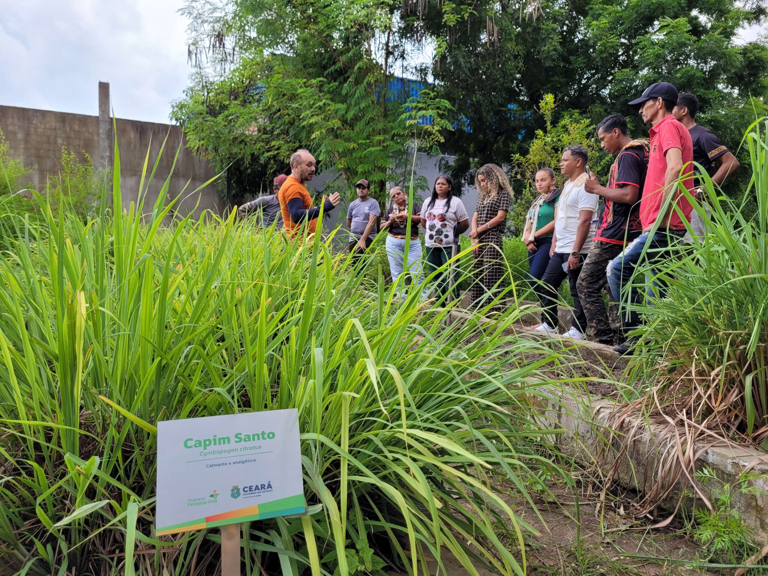 Sesa promove capacitação de Agentes Indígenas de Cultivo para projeto Interculturalidade e Farmácias Vivas no SUS Ceará