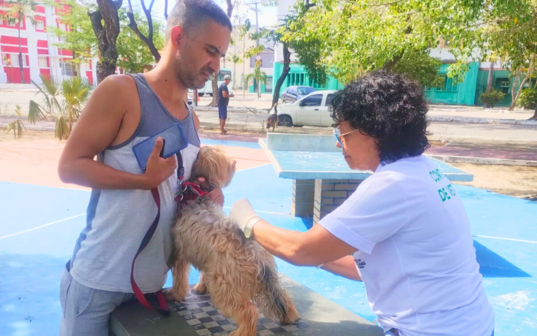 Campanha de vacinação contra raiva em cães e gatos segue até 22 de dezembro em todo o Ceará; Dia D ocorre neste sábado (8)