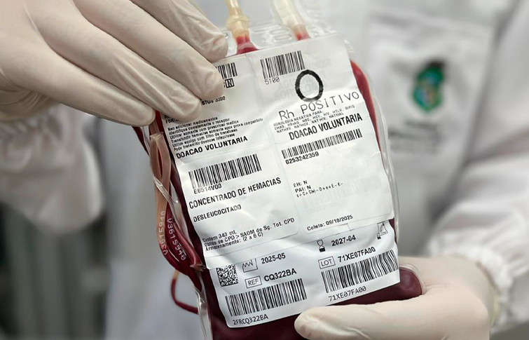 Hemoce supera 119 mil doações de sangue em 2025; número é o maior em 30 anos