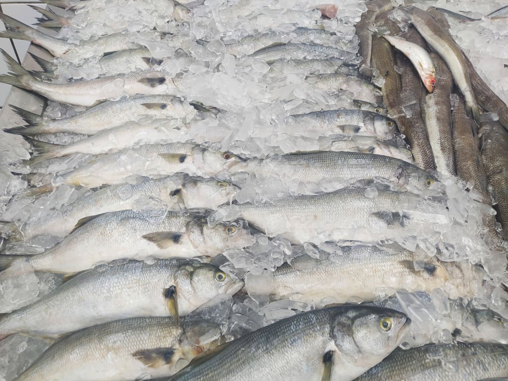 Ceará se mantêm líder nas exportações de pescado