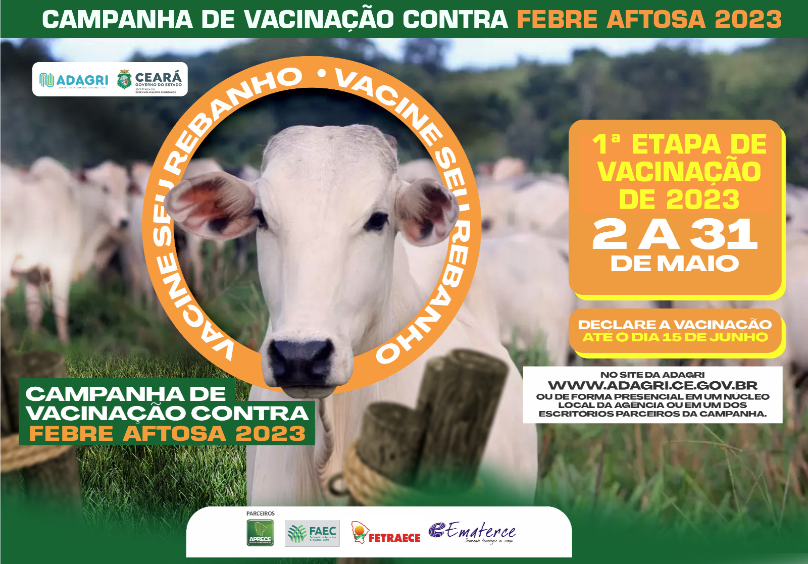 Ceará inicia vacinação contra febre aftosa e espera estar livre da obrigatoriedade já em 2024