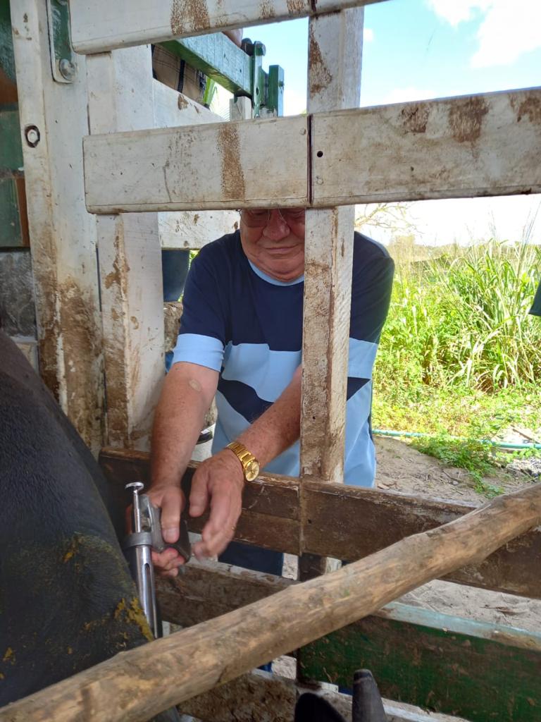 Primeira etapa de vacinação contra Febre Aftosa deste ano supera o índice de vacinação de 2022