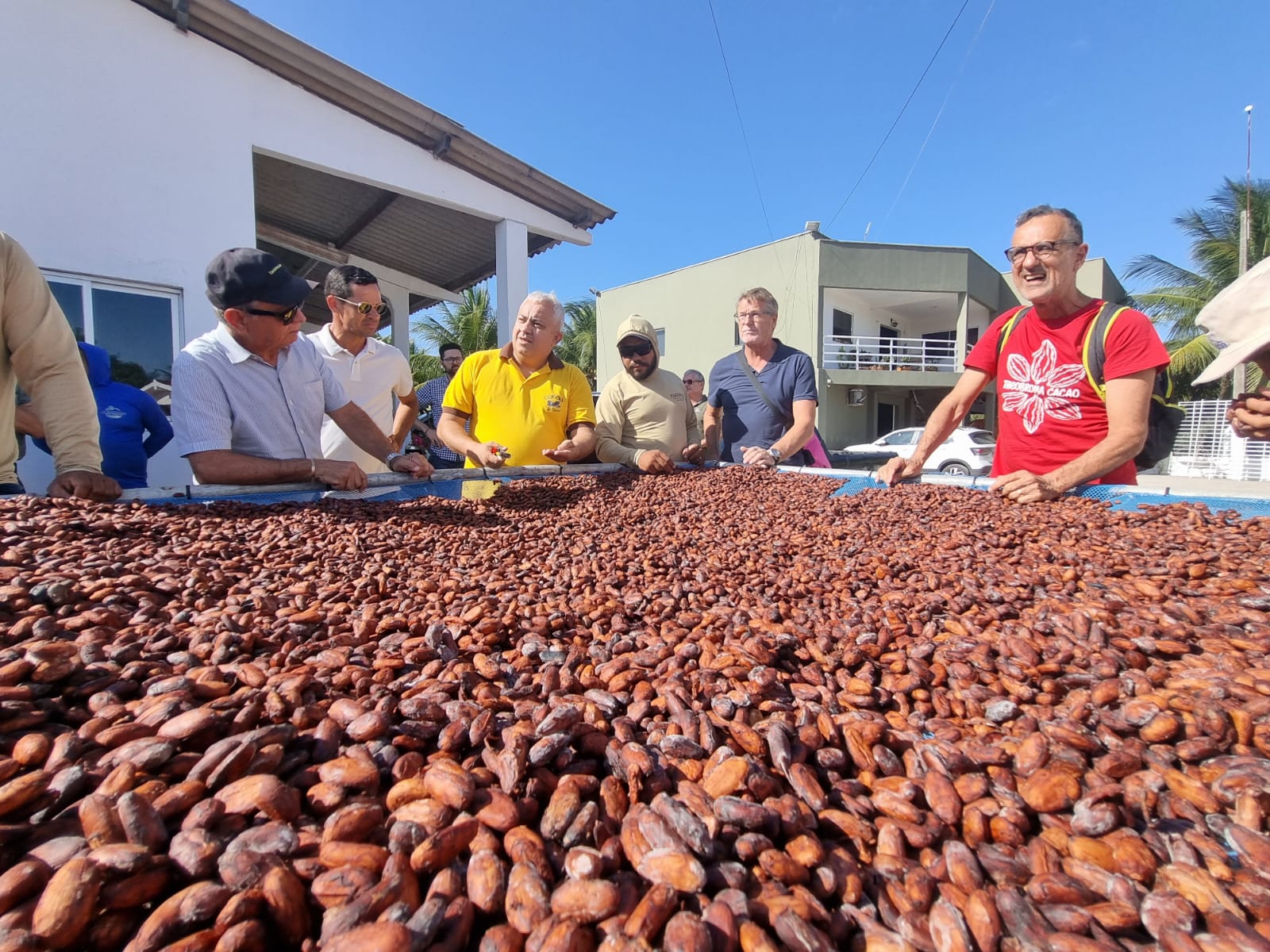 Ceará impulsiona produção de cacau com capacitação no Vale do Acaraú