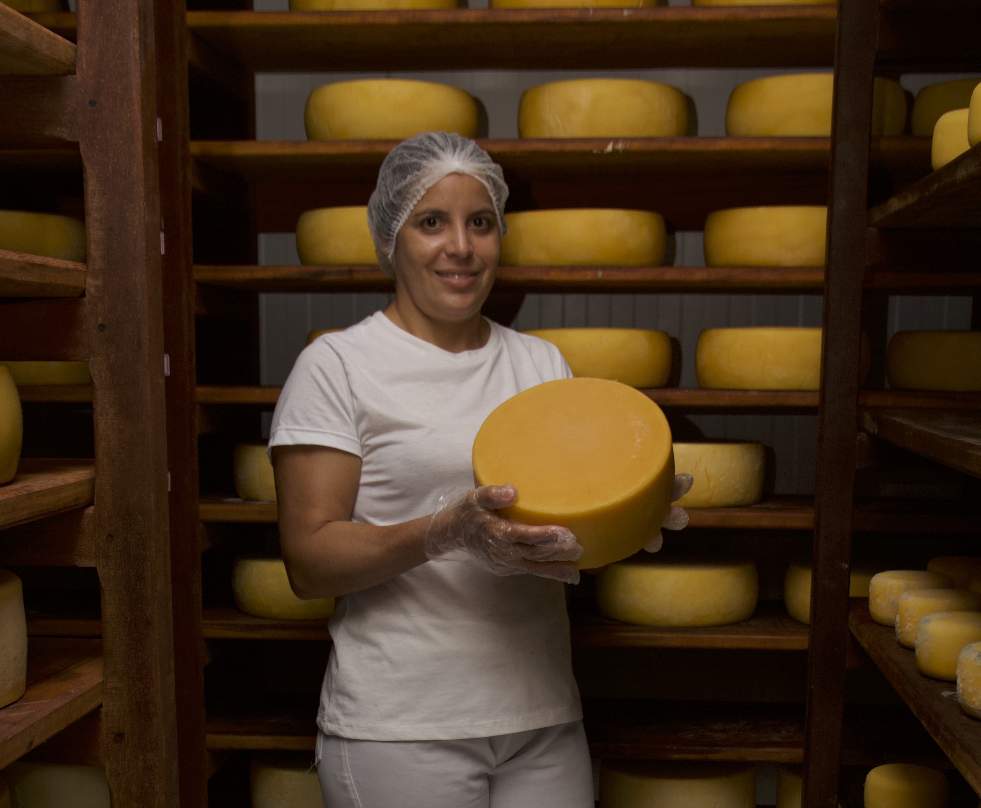 SDE debate melhorias para atividade de produção de queijos artesanais no Ceará