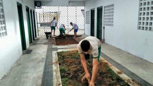 Unidade Socioeducativa recebe Projeto Farmácia Viva