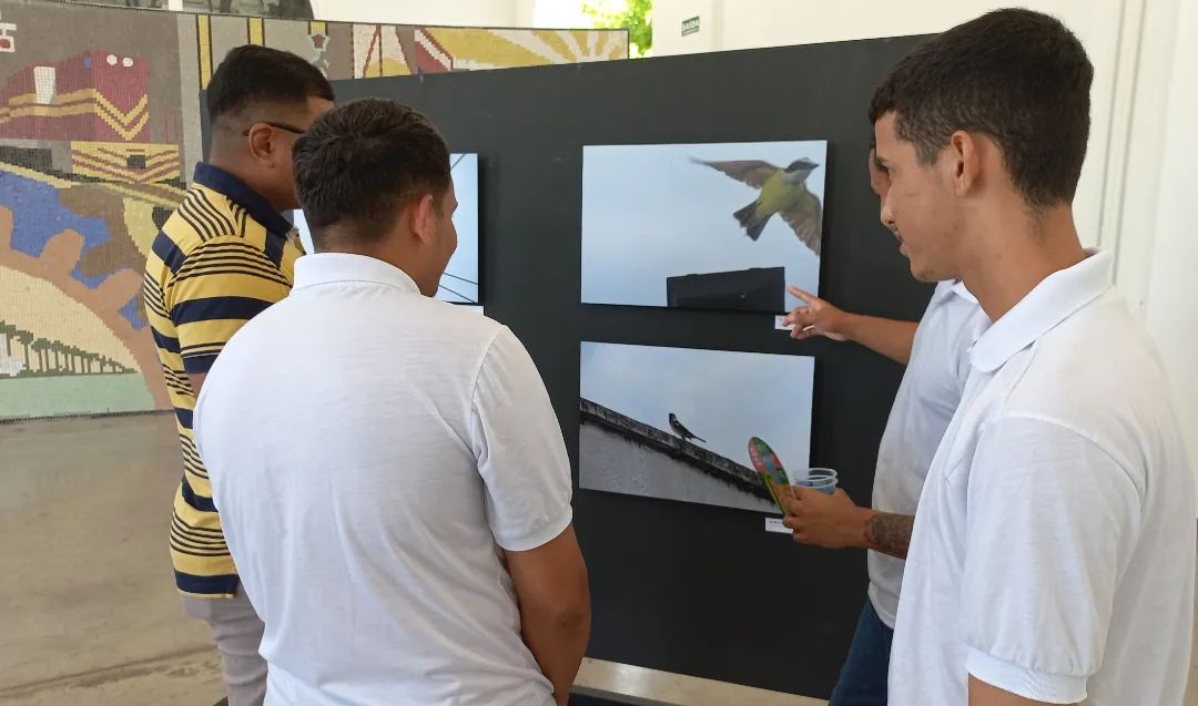 Exposição Despertando Olhares valoriza trabalhos de adolescentes