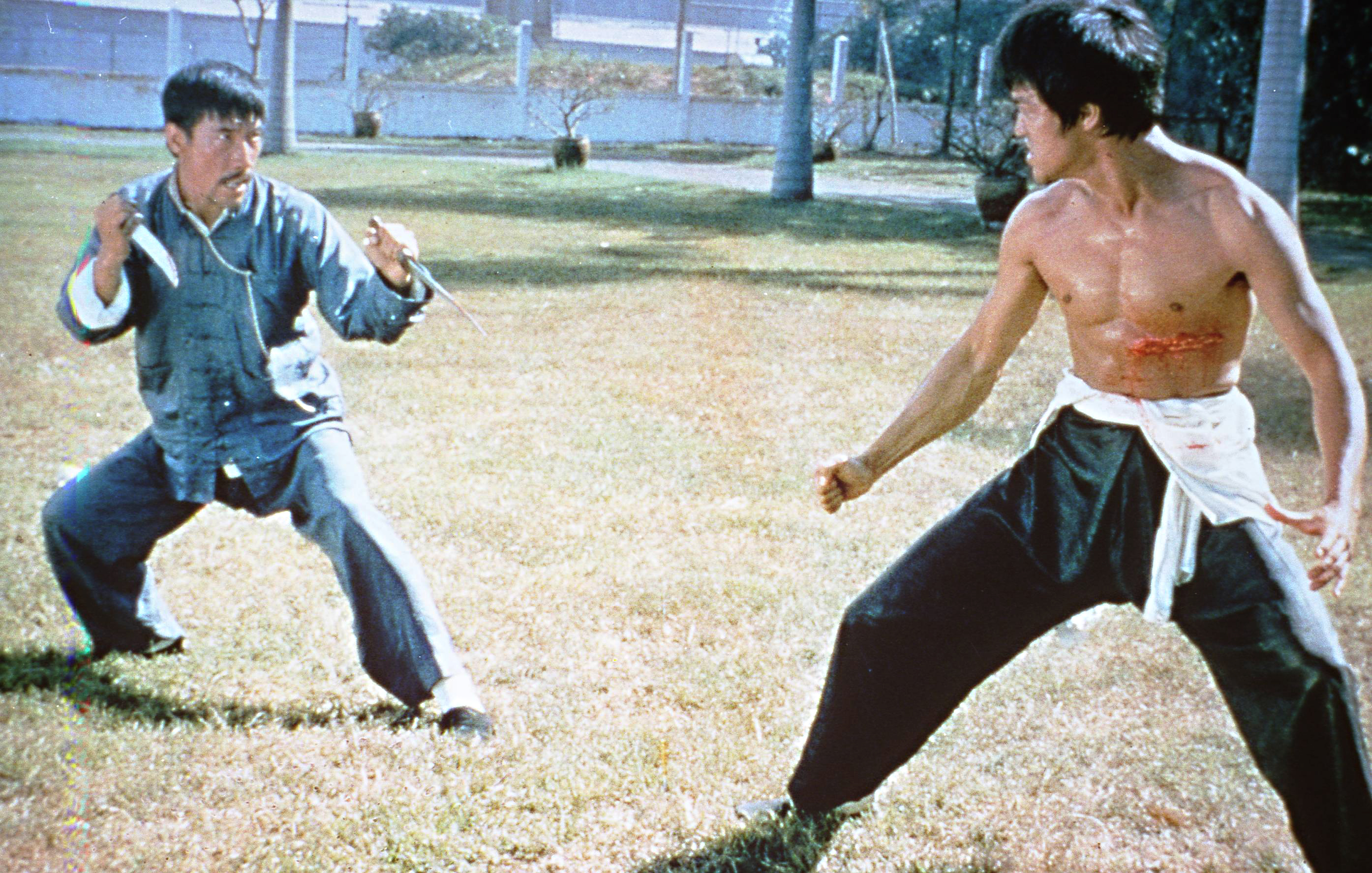 Festival Bruce Lee 75 Anos começa nesta sexta, 11, em Fortaleza, trazendo referências nacionais das artes marciais ao Cineteatro São Luiz