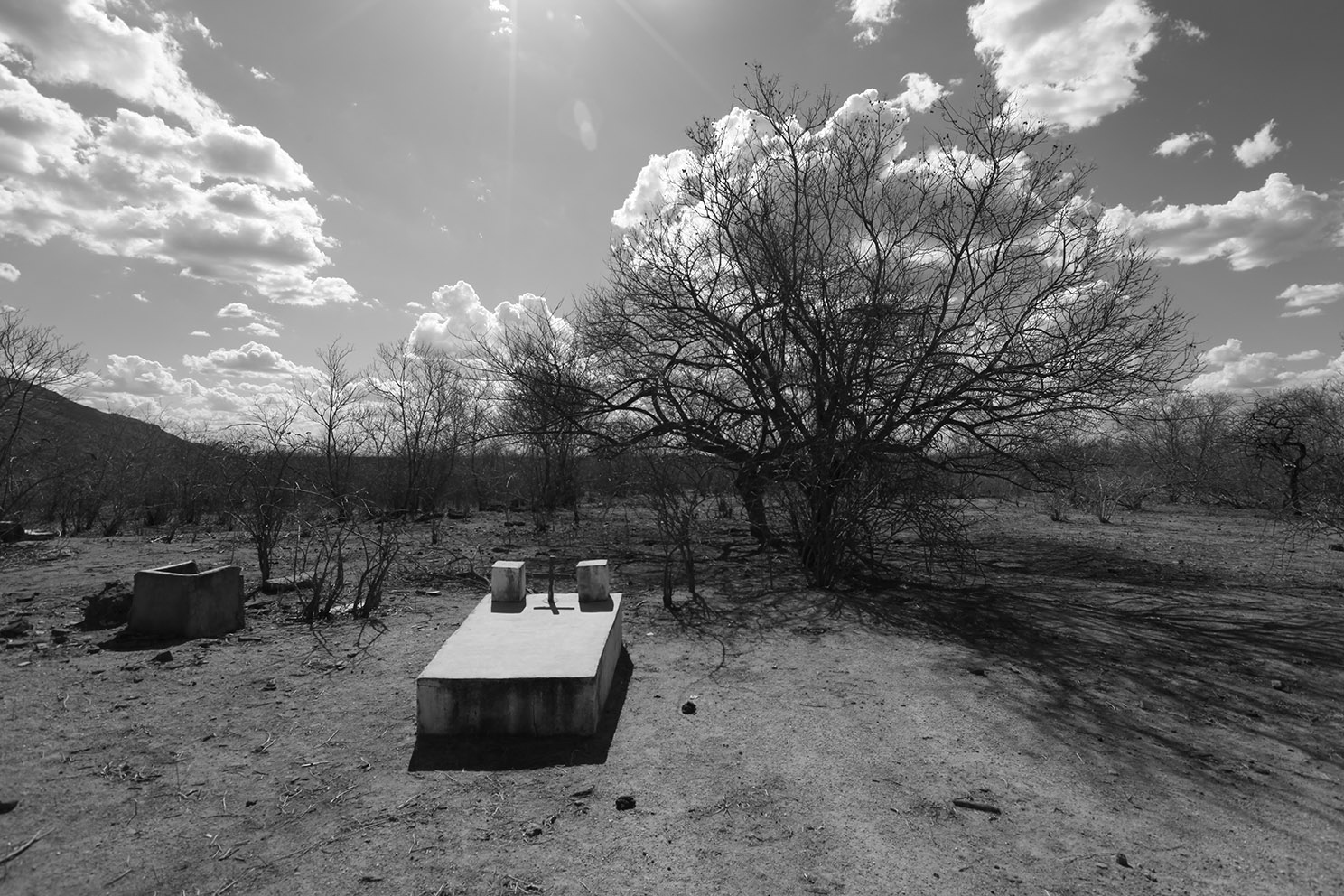 Com apoio da Secult, exposição fotográfica “Caminho das Abelhas” destaca trabalhos de seis fotógrafos atuantes no Ceará