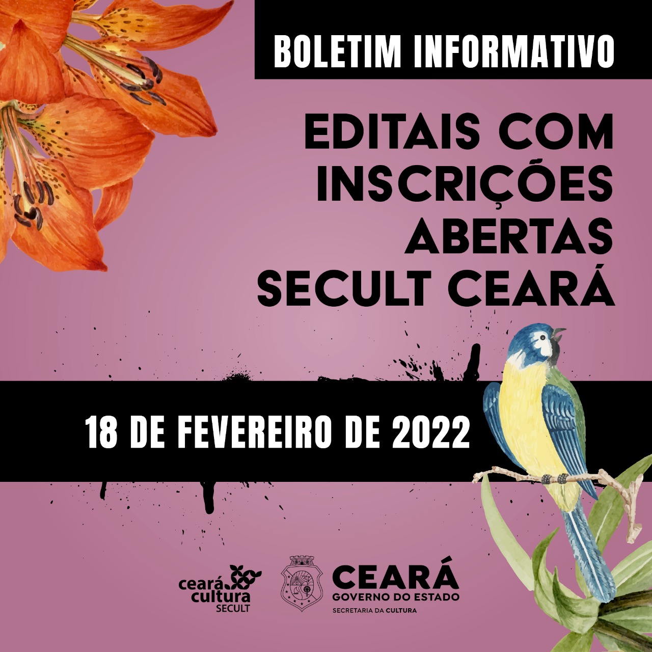 Boletim Informativo de Editais Secult Ceará –  18 de fevereiro de 2022