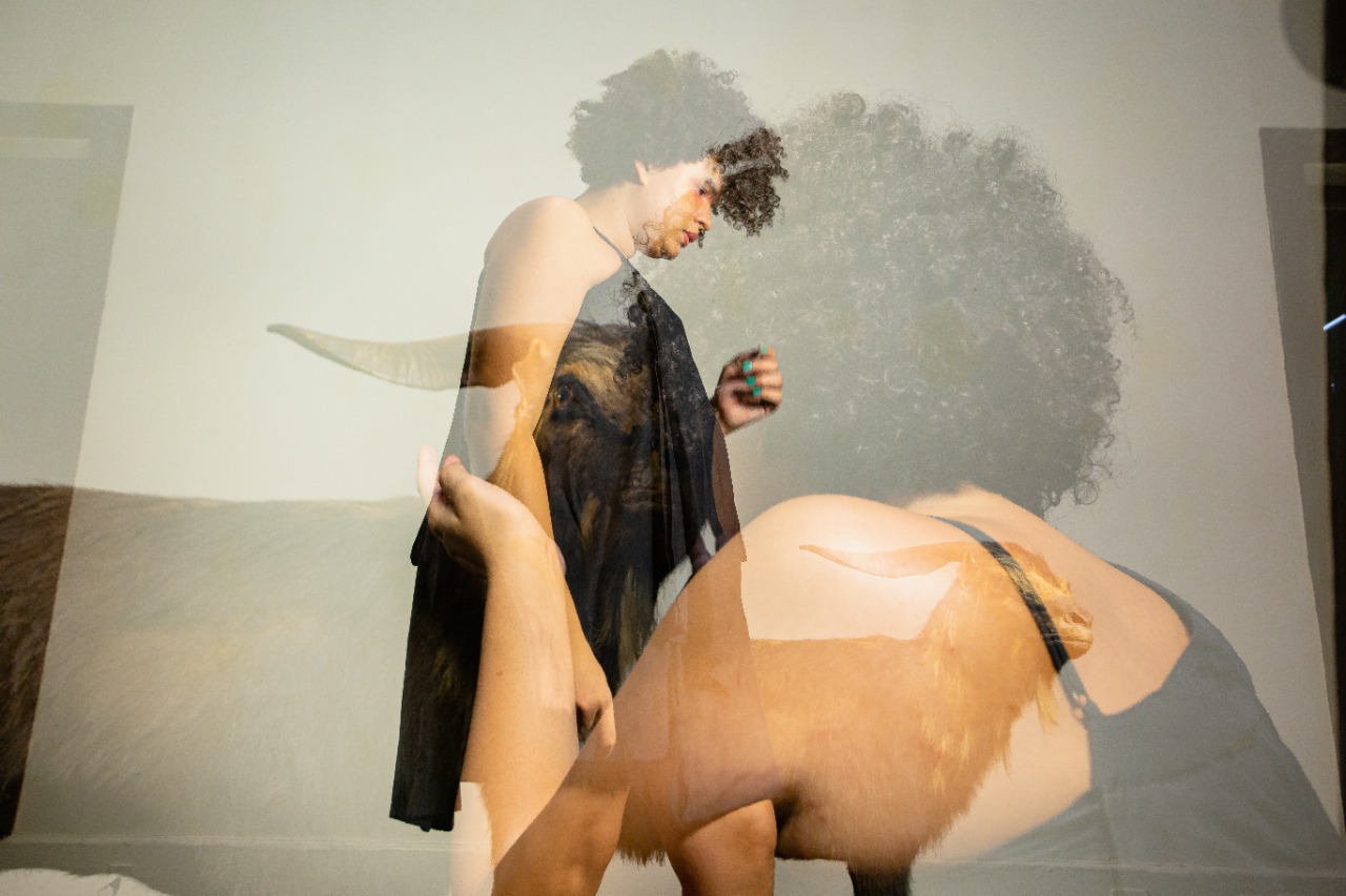 Museu de Arte Contemporânea do Ceará se despede do Bode Ioiô neste domingo (20)