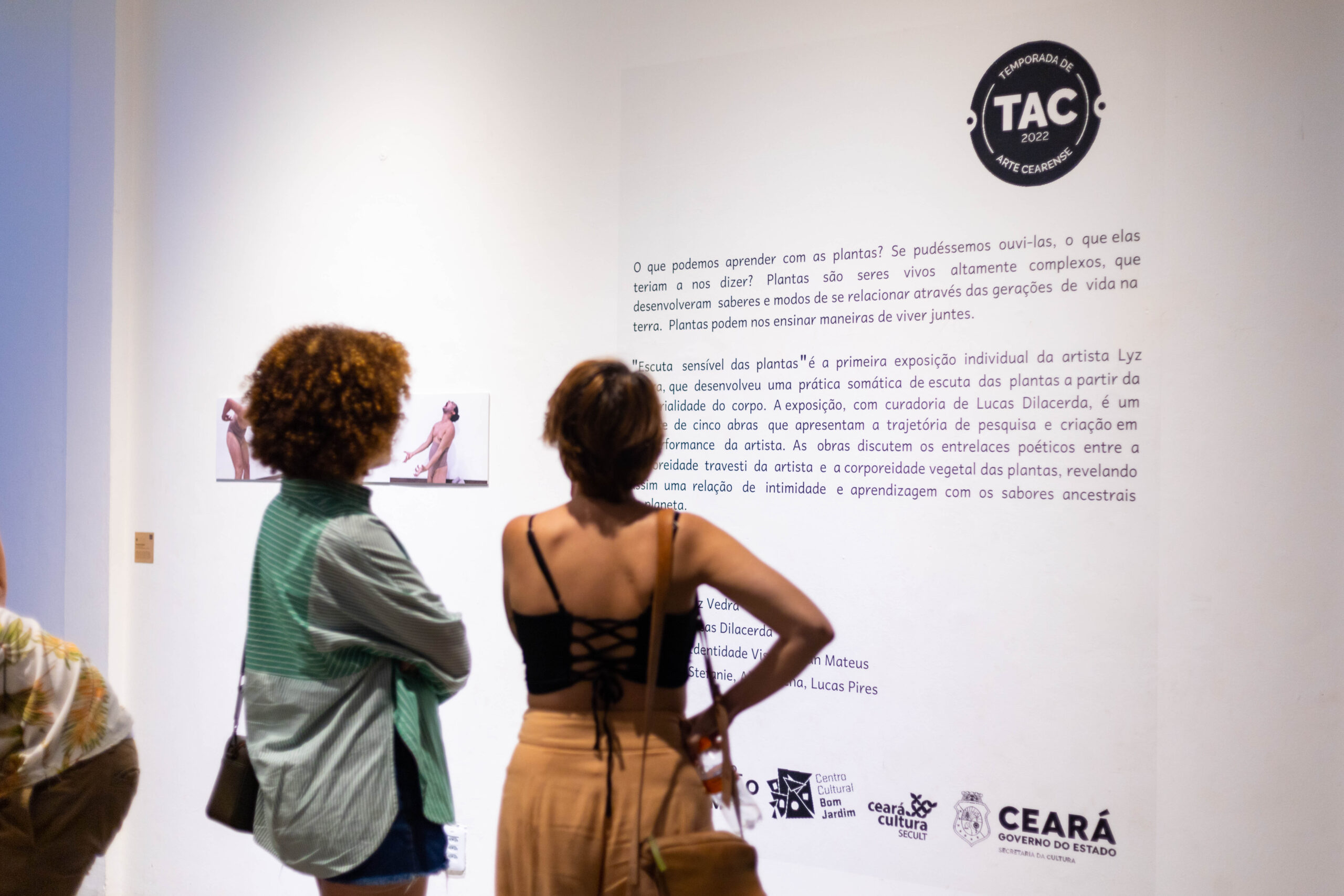 Galeria em Pauta segue com a exposição “Escuta Sensível das Plantas” até o dia 20 de abril: uma costura poética entre a corporeidade travesti e corporeidades planta