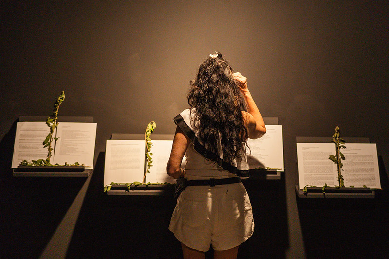Sistema Estadual de Museus do Ceará retoma Fórum Estadual com discussões sobre definição de museus e qual o papel dessas instituições na sociedade