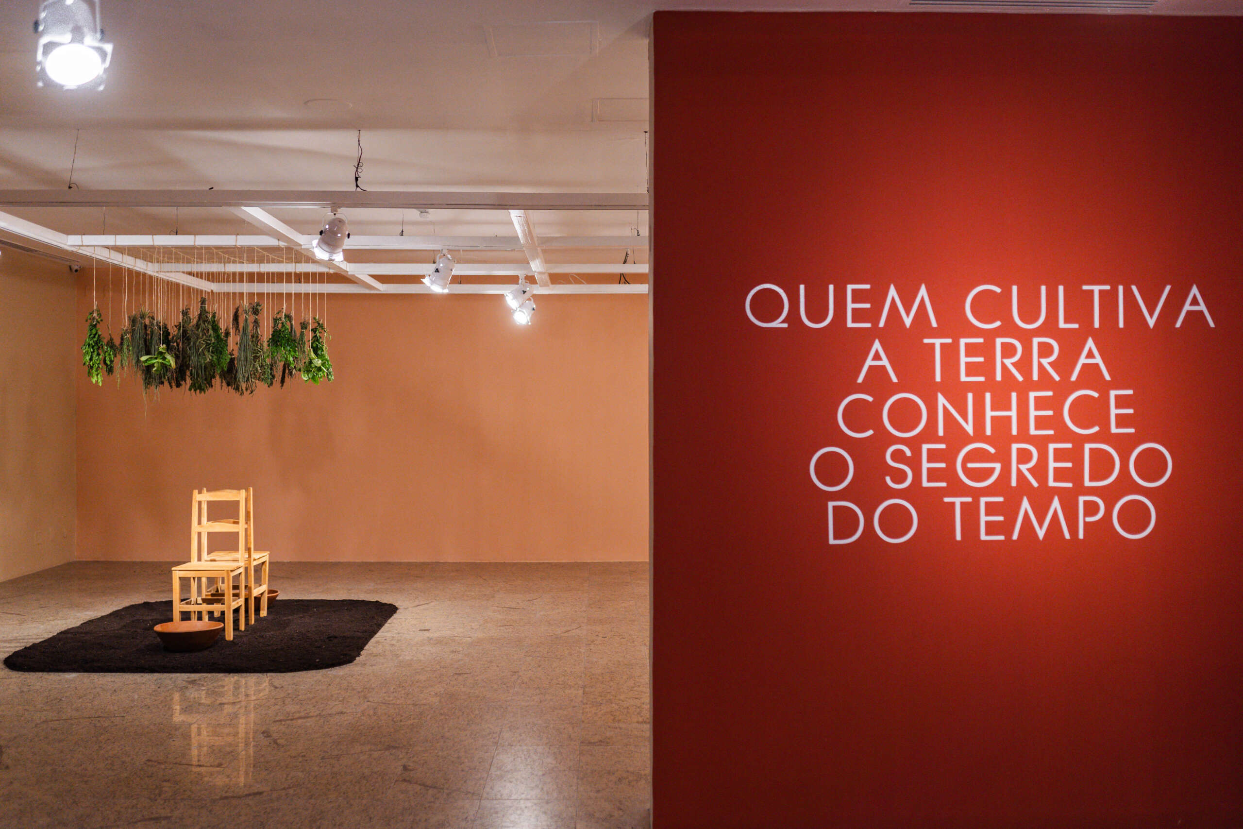 Roda de conversa marca o encerramento da exposição “Cansanção em Flor”, em cartaz no MAC-CE até o final de julho