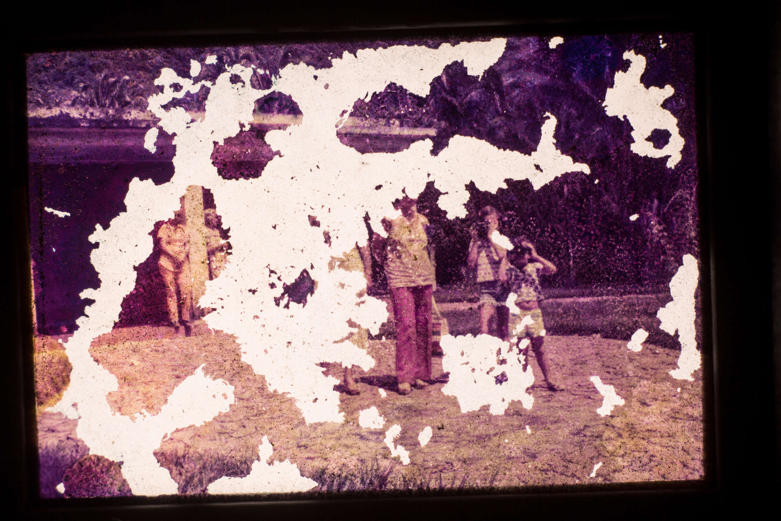 Museu da Imagem e do Som recebe Bezoar do Tempo, exposição de quatro fotógrafas cearenses