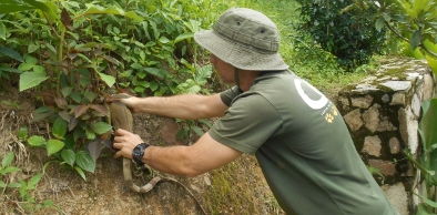 Animais silvestres são soltos na Serra de Baturité por Semace e Ibama