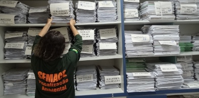 Decisões administrativas de sanções de fiscalização ambiental tiveram aumento de 12%