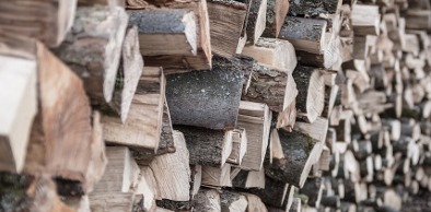120 estéreos de lenha apreendida pela Semace são doadas para entidade sem fins lucrativos