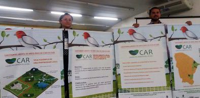Campanha de divulgação do CAR traz pássaro cearense como mascote
