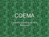 Simplificação do licenciamento de eólicas volta à pauta do Coema