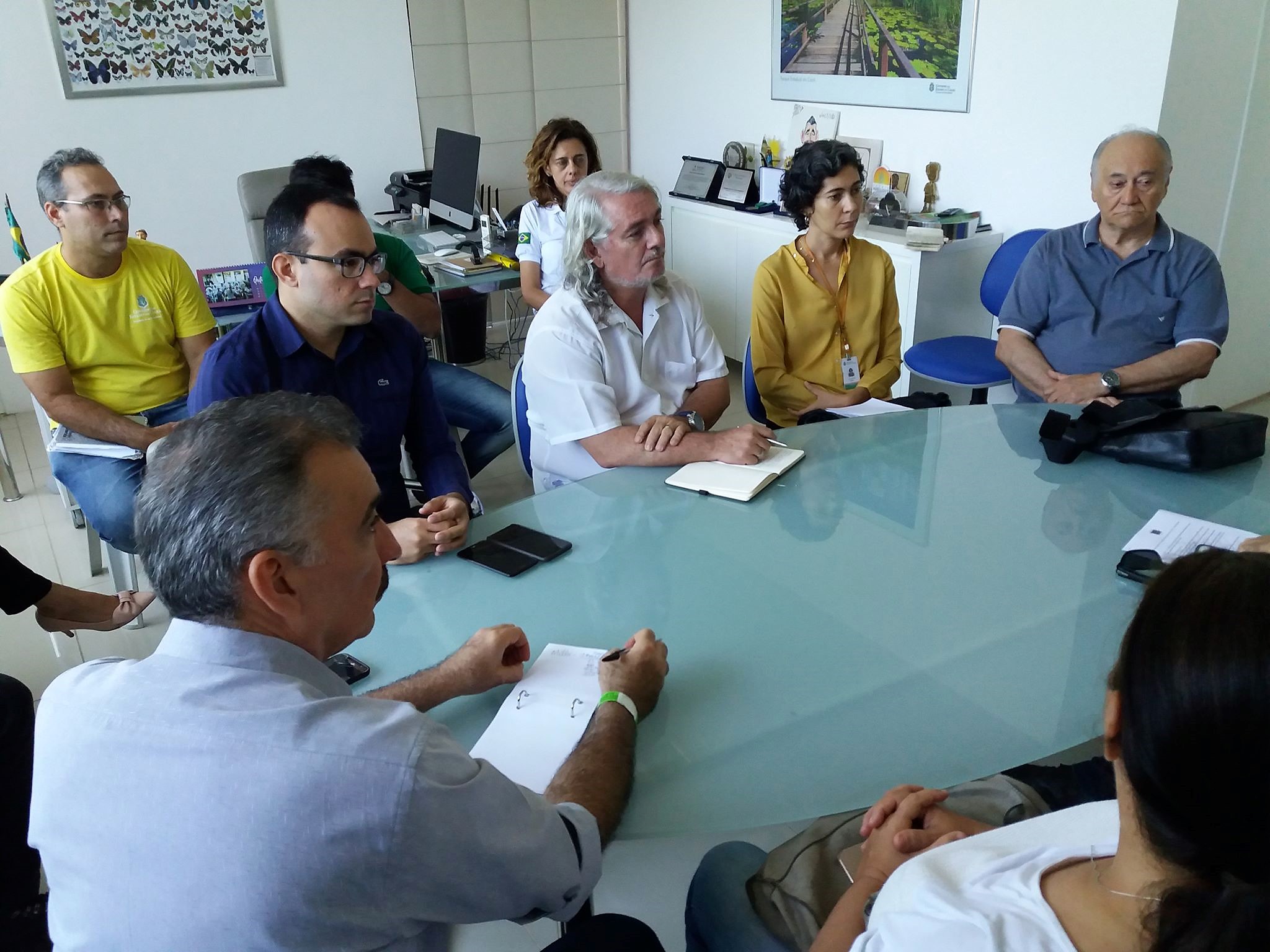 Semace fará sobrevoo para observar mancha de óleo no litoral