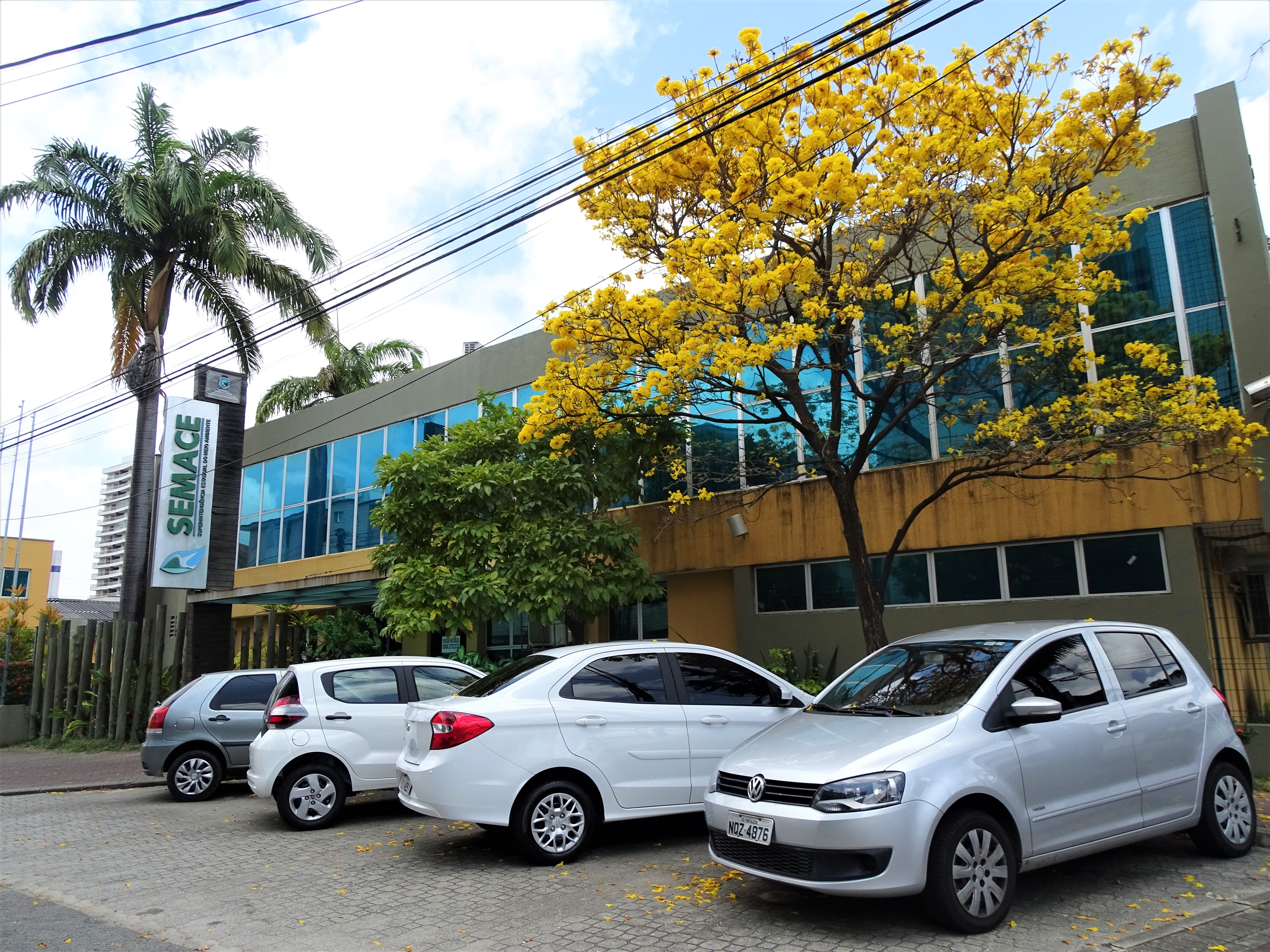 Semace terá portal para publicações relacionadas a licenciamento e fiscalização ambiental