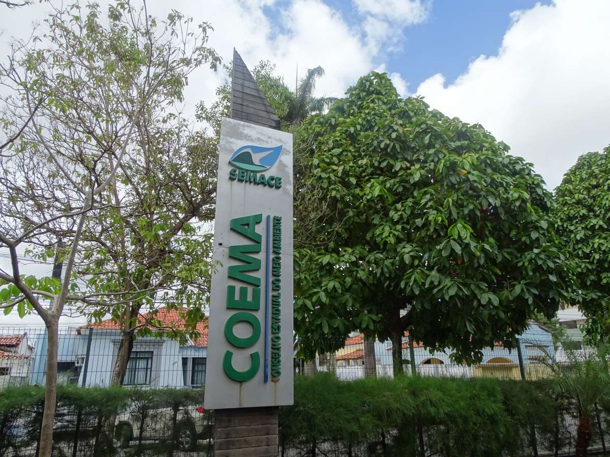 Coema deve votar projeto de carcinicultura nesta quinta-feira (15)